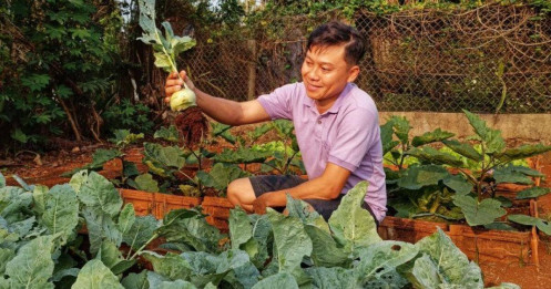 Nam công nhân tan ca tự trồng rau phục vụ bữa ăn hàng ngày, chia sẻ bí quyết mát tay nhờ khâu làm đất