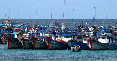 Hôm nay EC đến Việt Nam thanh tra việc gỡ ‘thẻ vàng’ thủy sản