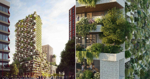 Tòa nhà phủ cây xanh tương đương 10.000 m2 rừng