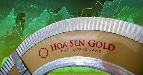 Công ty cổ phần tập đoàn Hoa Sen (HSG)