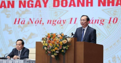 Phó Thống đốc Đào Minh Tú: Tỷ giá có dao động, nhưng vẫn trong khuôn khổ