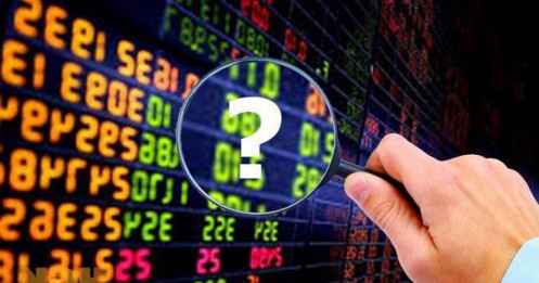 Bạn nên mua cổ phiếu dẫn dắt thị trường nào đầu tiên?