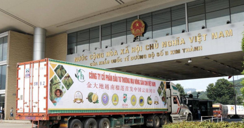 Xuất khẩu sầu riêng qua Cửa khẩu Lào Cai lập kỷ lục số lượng xe chở hàng