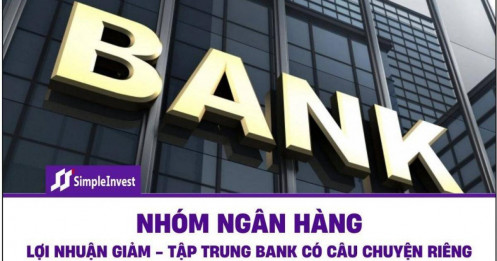 Nhóm ngân hàng lợi nhuận sụt giảm – Tập trung các bank có câu chuyện riêng