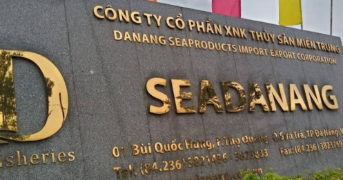 Vì sao Công ty Seadanang doanh thu trăm tỷ nhưng lợi nhuận nhỏ giọt?