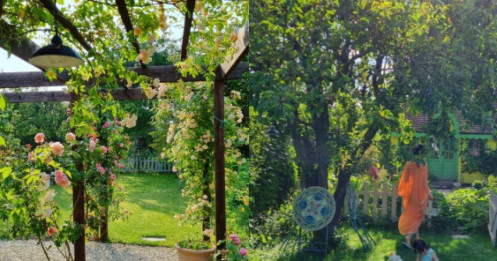 Vợ chồng trẻ cải tạo sân sau thành công viên mini: Trên đời chỉ cần một khu vườn thế này là đủ!