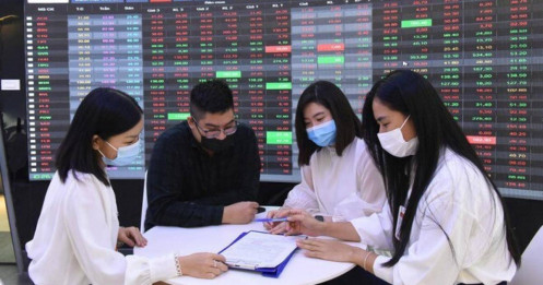 TTCK Việt Nam hiện tại chuyên gia nhiều hơn cả nhà đầu tư