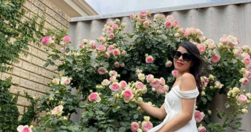 Cặp vợ chồng Việt làm vườn hoa hồng 60m2, đẹp như công viên ở Úc