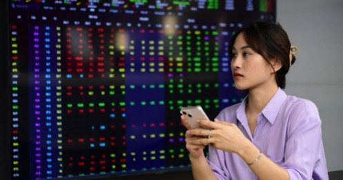 Cổ phiếu khuyến nghị hôm nay 6/11: KBC, SSI và PVD