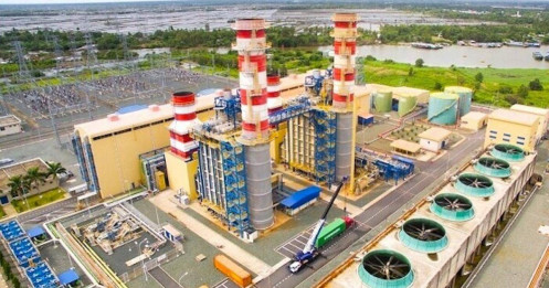 NT2 – Lợi nhuận phục hồi trong năm 2024