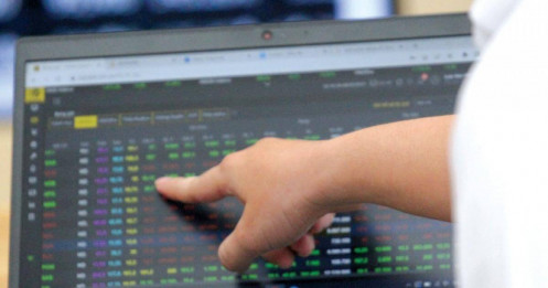 Có phải nhà đầu tư?