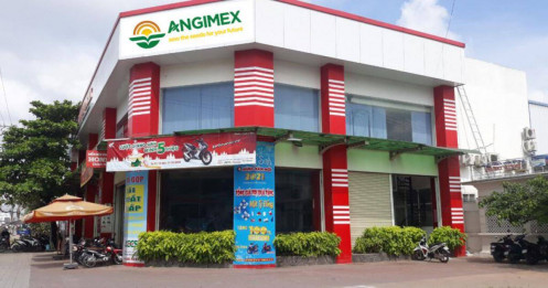 Angimex ưu tiên phát hành 12.5 triệu cổ phiếu thưởng để bù lỗ, đề xuất 4 phương án xử lý các gói nợ trái phiếu