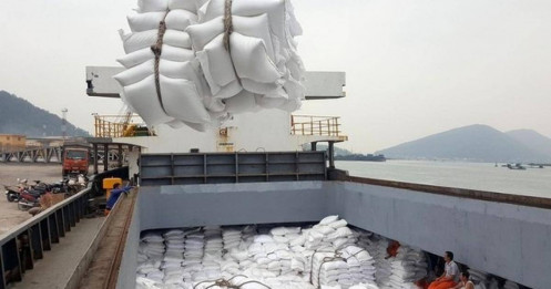 Xuất khẩu gạo 2023: Việt Nam lập kỷ lục 4 tỷ USD cao nhất trong vòng 34 năm