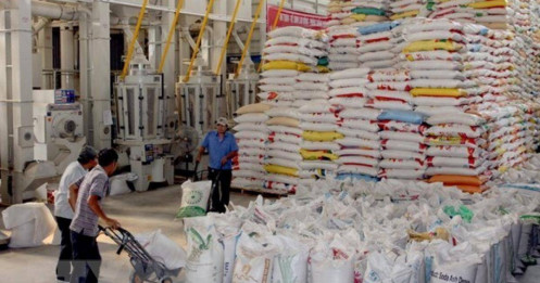 Xuất khẩu gạo “gặt” con số khủng, doanh nghiệp gạo “nhặt” từng đồng lãi