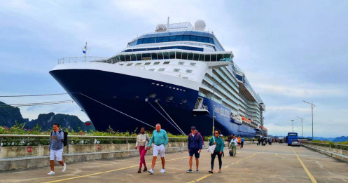 Siêu du thuyền chở hơn 2.600 khách quốc tế tới tham quan Hạ Long