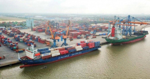 VCCI: Lưu ý hệ luỵ của tăng giá dịch vụ cảng biển đến xuất nhập khẩu