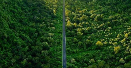 Cung đường xanh mát mắt phủ kín cây ở Việt Nam, nhìn từ trên cao cực kỳ ấn tượng