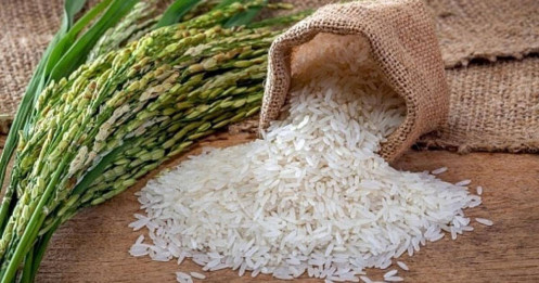 Chuyên gia Dương Văn Chín: ‘Gạo Việt phải chảnh lên’