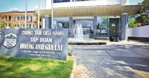 HAGL thu 711 tỷ đồng trong tháng 10
