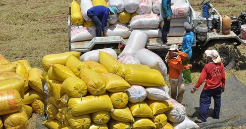 Xuất khẩu gạo tiến gần mốc 5 tỷ USD