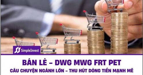 Ngành bán lẻ thu hút dòng tiền mạnh mẽ nhờ câu chuyện lớn của ngành – DGW MWG FRT PET