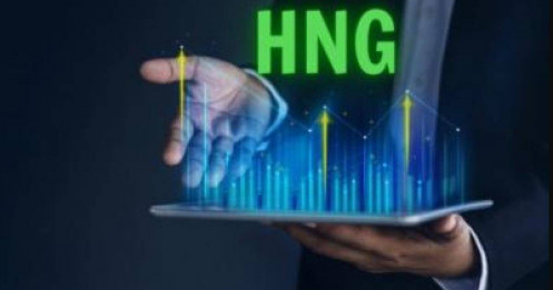 Cổ phiếu HNG tăng 9 phiên liên tiếp