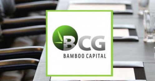 Liên tục tăng vốn nóng, đầu tư lĩnh vực hot, Bamboo Capital vẫn ảm đạm