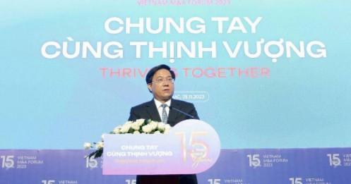 Thứ trưởng Bộ KH&ĐT: Dù sụt giảm, thị trường M&A Việt Nam vẫn hấp dẫn với nhà đầu tư nước ngoài