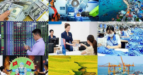 Cập nhật nhanh kinh tế Việt Nam tháng 11/2023 - Xu hướng kinh tế tiếp tục phục hồi diện rộng