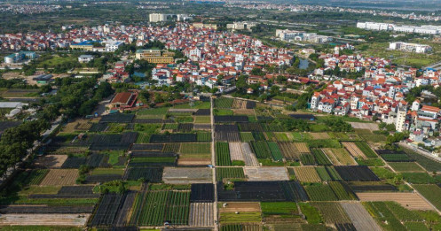 Ngắm "bức tranh" thiên nhiên tuyệt đẹp tại thủ phủ hoa lớn nhất Hà Nội