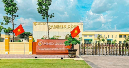 Camimex Group phát hành 2,1 triệu trái phiếu, thu về hơn 200 tỷ đồng