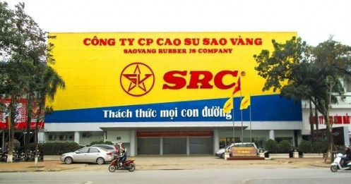 Vượt qua Vinachem, Tập đoàn Hoành Sơn nắm giữ hơn 50% cổ phần Cao su Sao Vàng