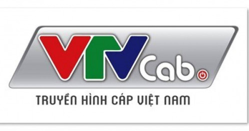 VTVcab Sport không còn là công ty con của VTVcab