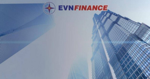Ai đã chi 2.500 tỷ hấp thụ hết 226,7 triệu cổ phiếu 'dư' của EVN Finance?