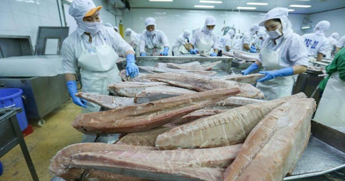 Cá ngừ đóng hộp lên ngôi tại nhiều thị trường trong bối cảnh khó khăn