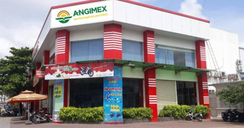 Angimex: Hoạt động kinh doanh vẫn chưa cân bằng được thu chi