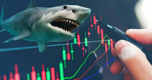 Bắt đáy “mát tay” một cổ phiếu chứng khoán, "cá mập" quy mô 18.000 tỷ vẫn thua VN-Index vì nhóm ngân hàng