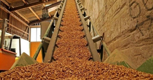 Gặp khó ở thị trường chính, xuất khẩu viên nén gỗ có "về đích"?