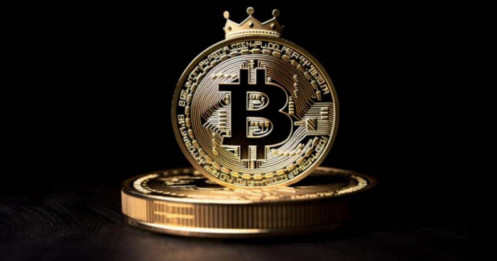 Bitcoin hồi về gần 42.000 USD sau đợt lao dốc sâu nhất 4 tháng