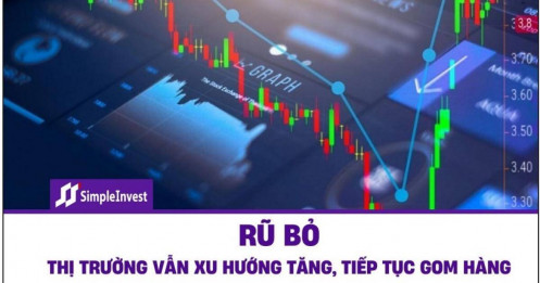 Nhịp rũ bỏ là hiển nhiên. Thị trường vẫn xu hướng tăng, tiếp tục gom hàng