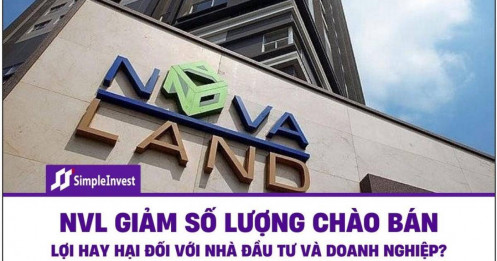 NVL giảm mạnh số lượng cổ phiếu dự kiến chào bán – Lợi hay Hại đối với nhà đầu tư và doanh nghiệp