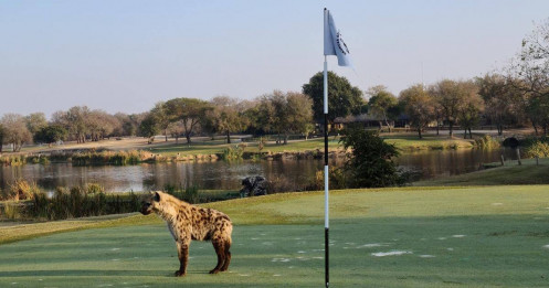 Sân golf hoang dã nhất thế giới