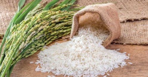 Giá gạo châu Á quay trở lại mức cao nhất trong 15 năm