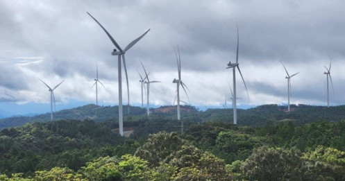 Lý do Việt Nam muốn nhập khẩu điện gió từ Lào