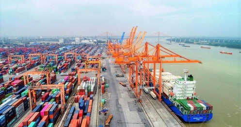 Tăng 10% giá sàn dịch vụ nâng hạ tác động ra sao với doanh nghiệp cảng?