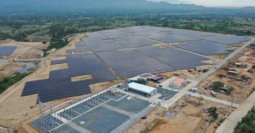 Dự án điện mặt trời mới đầu tư của thủy sản IDI vi phạm luật đất đai