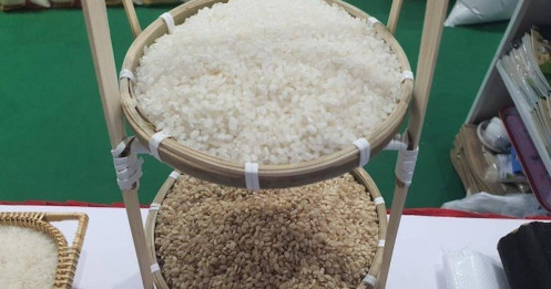 Thị trường gạo 2024 bị chi phối bởi yếu tố khí hậu và địa chính trị?