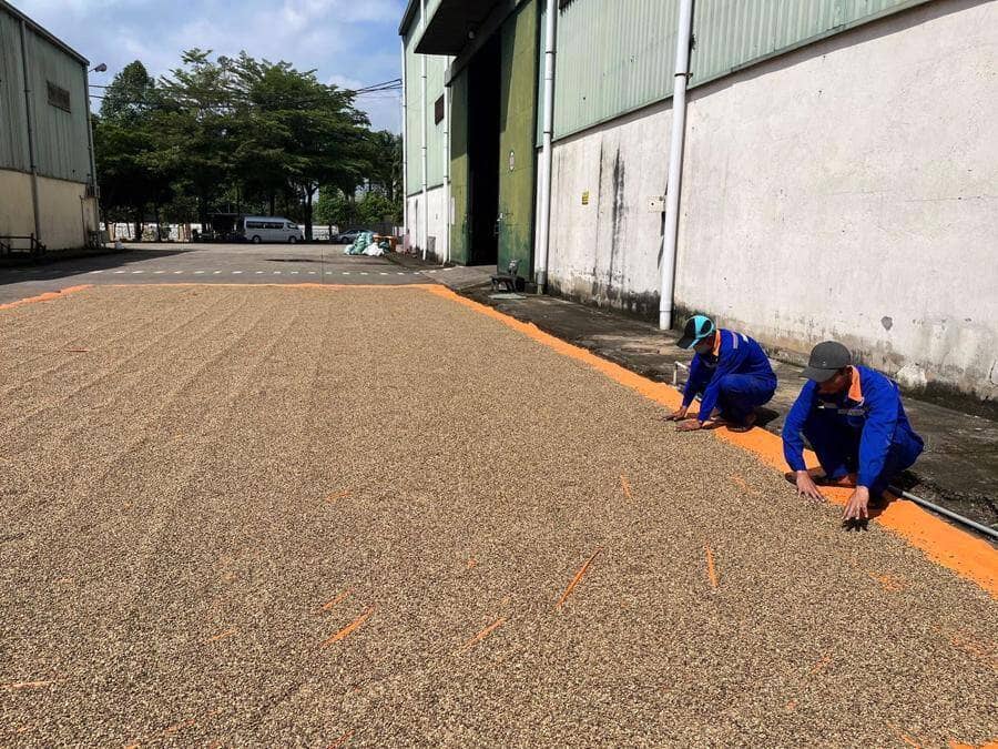 Chính sách tiền tệ giữa làn gió ngược