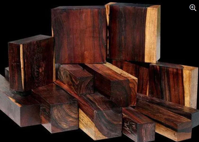 12 loại gỗ quý và đắt đỏ nhất thế giới, có tiền cũng khó sở hữu