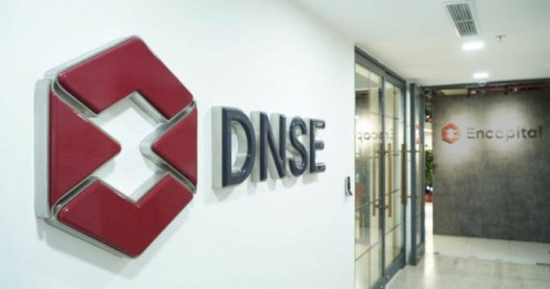 ​Chứng khoán DNSE huy động 900 tỷ đồng qua IPO